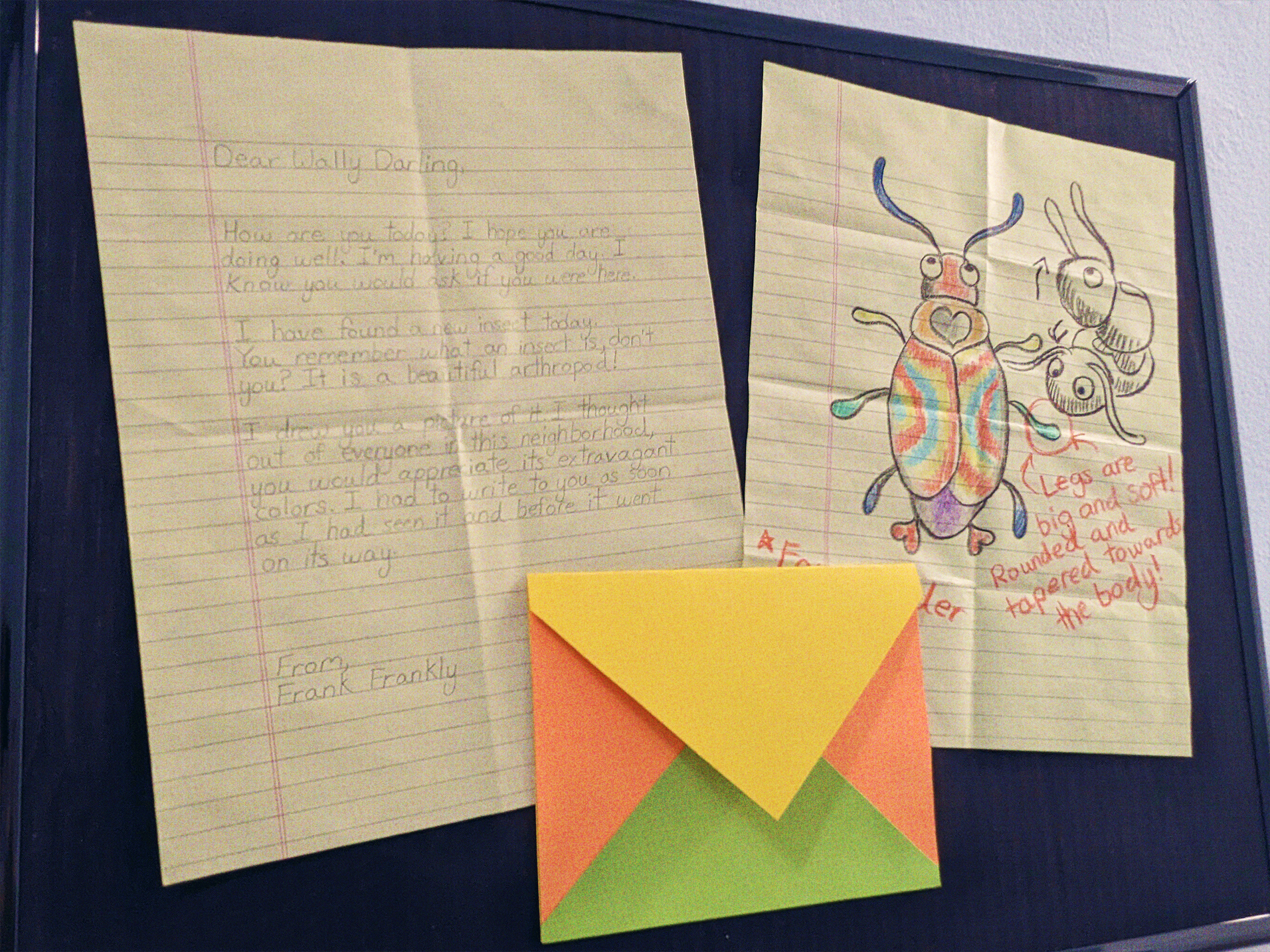 A further shot of the framed display that's been seen in the previous two images. It shows the letter, the bug drawing, and a brightly colored envelope.