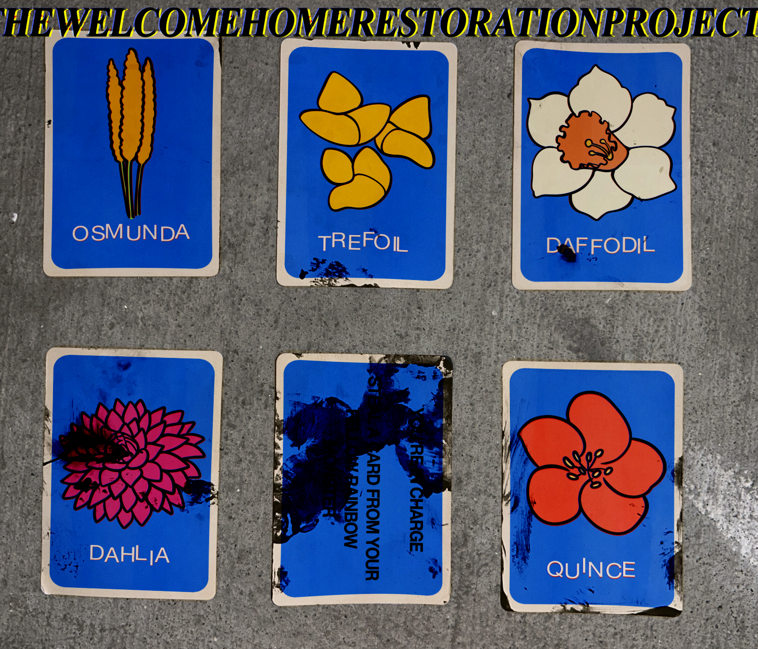 The blue cards from the game Floriography.