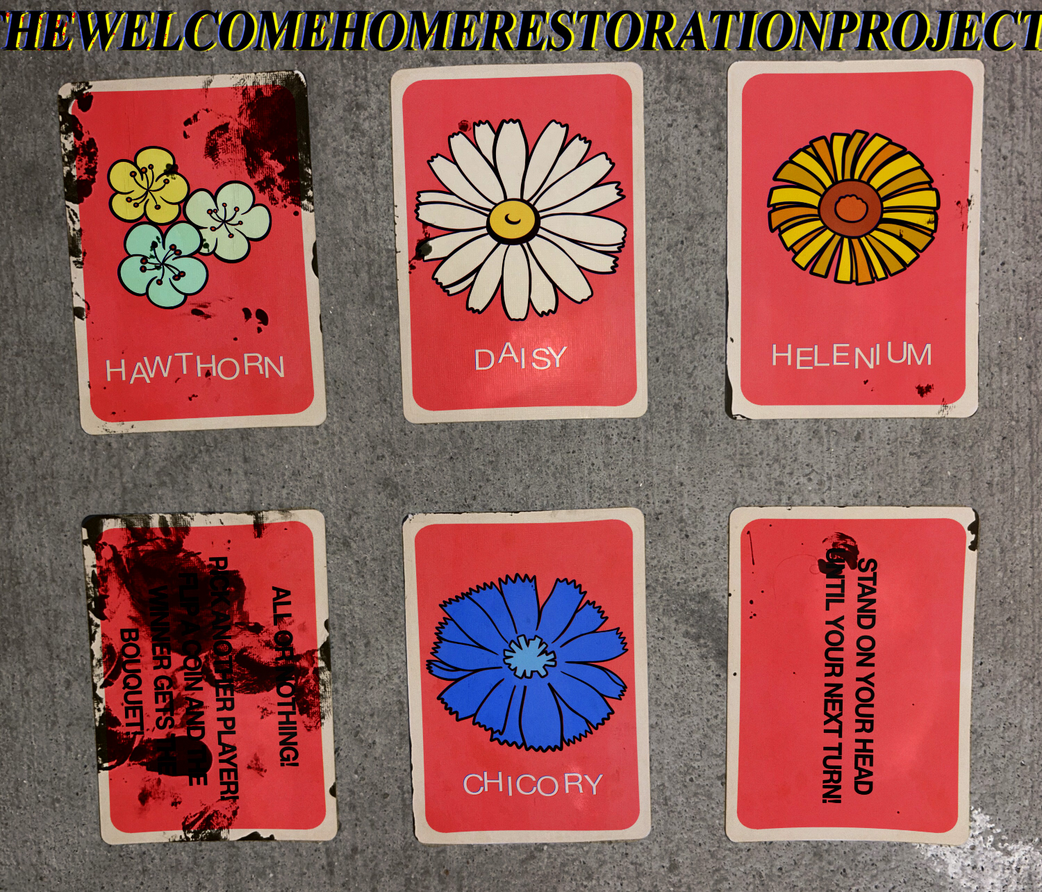 The pink cards from the game Floriography