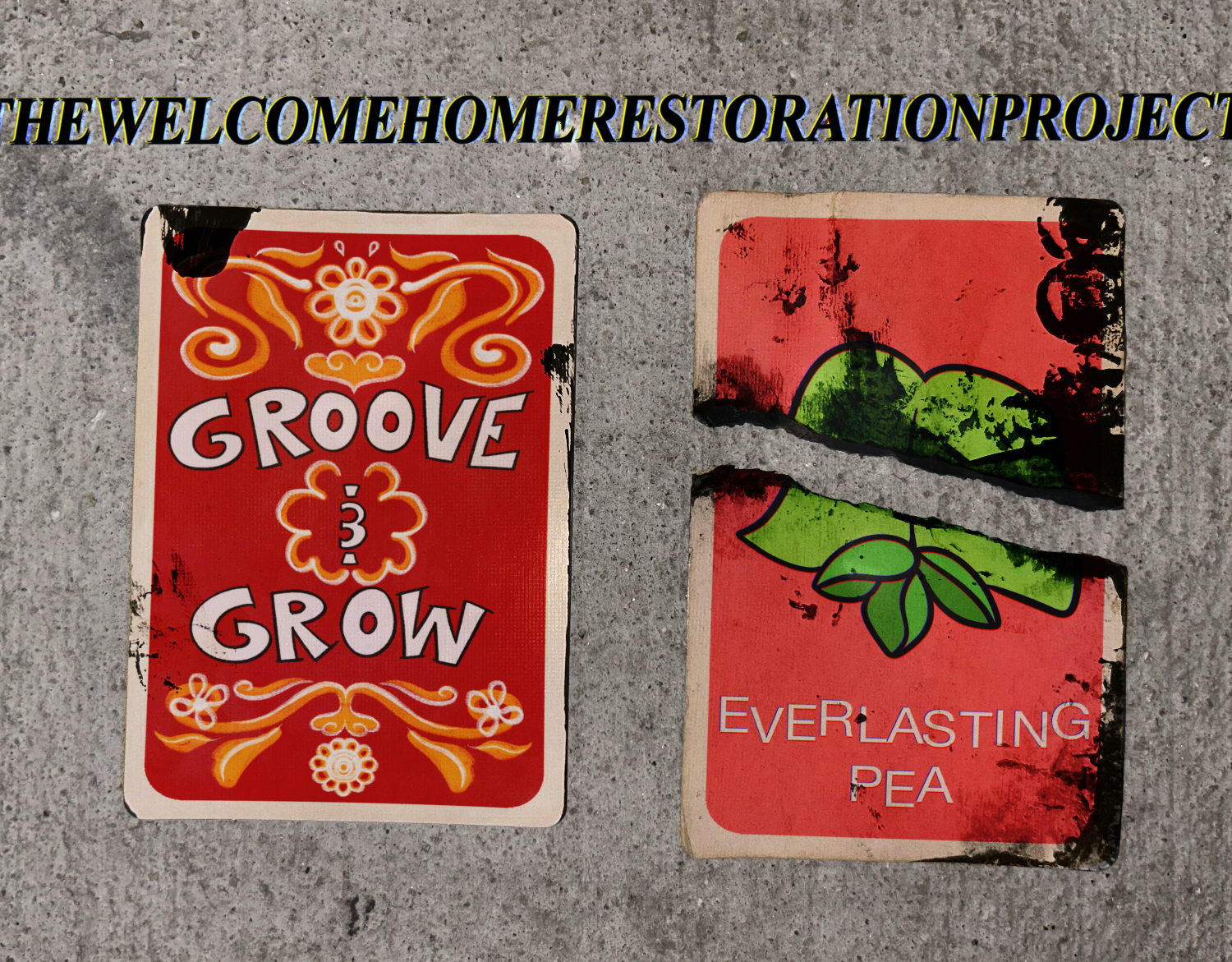 A comparison of an action card and a pink card from the game Floriography.