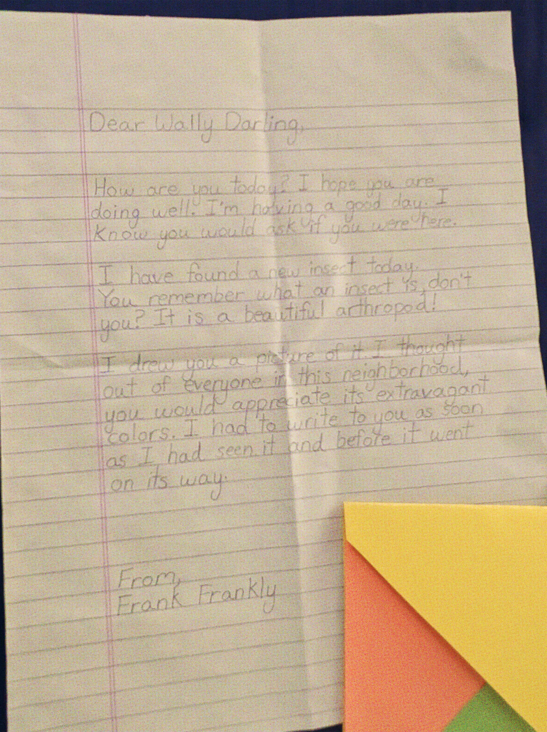 A closeup of framed display showing a letter. It reads: 'Dear Wally Darling, How are you today? I hope you are doing well. I'm having a good day. I know you would ask me if you were here. I have found a new insect today. You remember what an insect is don't you? It is a beautiful anthropod! I drew you a picture of it. I thought out of everyone in this neighborhood, you would appreciate its extravagant colors. I had to write to you as soon as I had seen it and before it went on its way. From, Frank Frankly.'