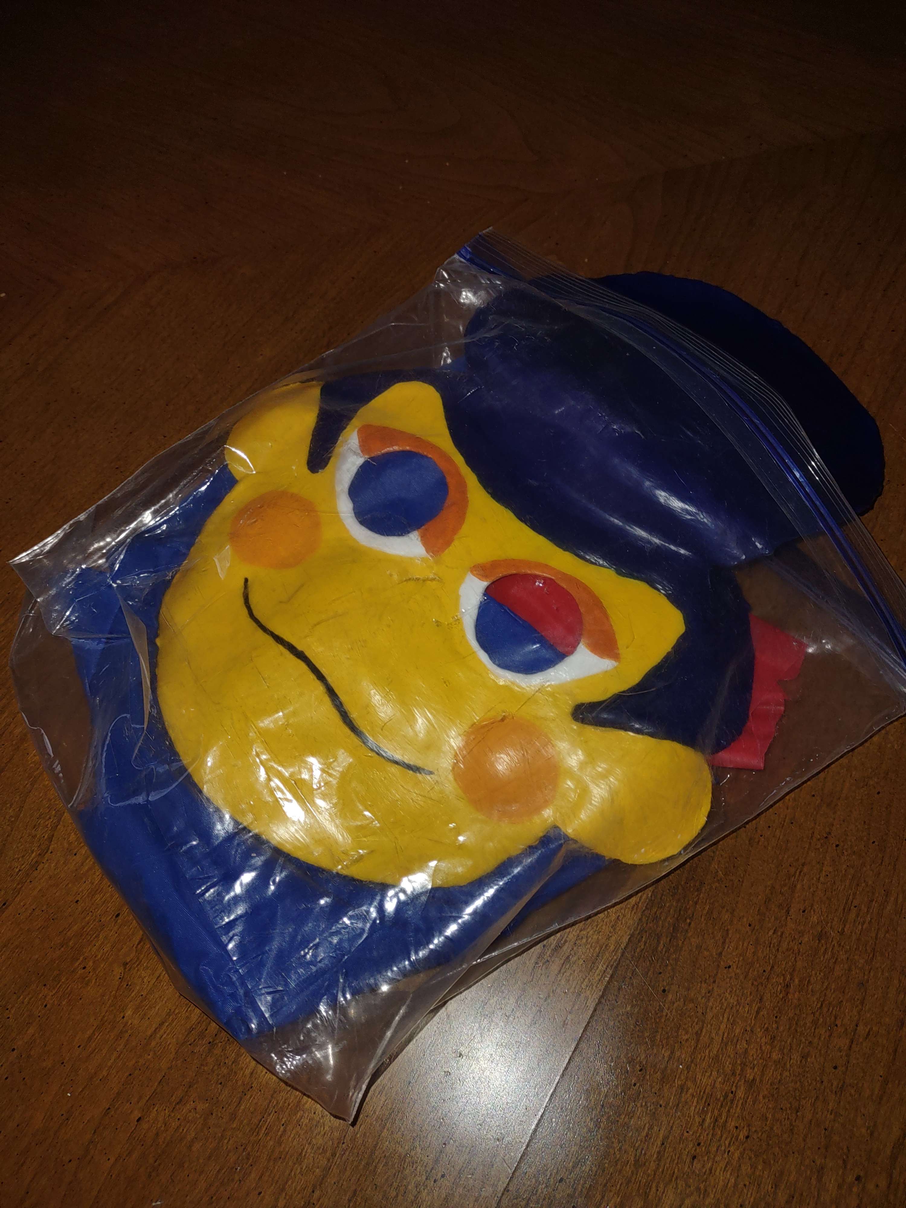 A photo of the costume neatly in a zippered plastic bag.