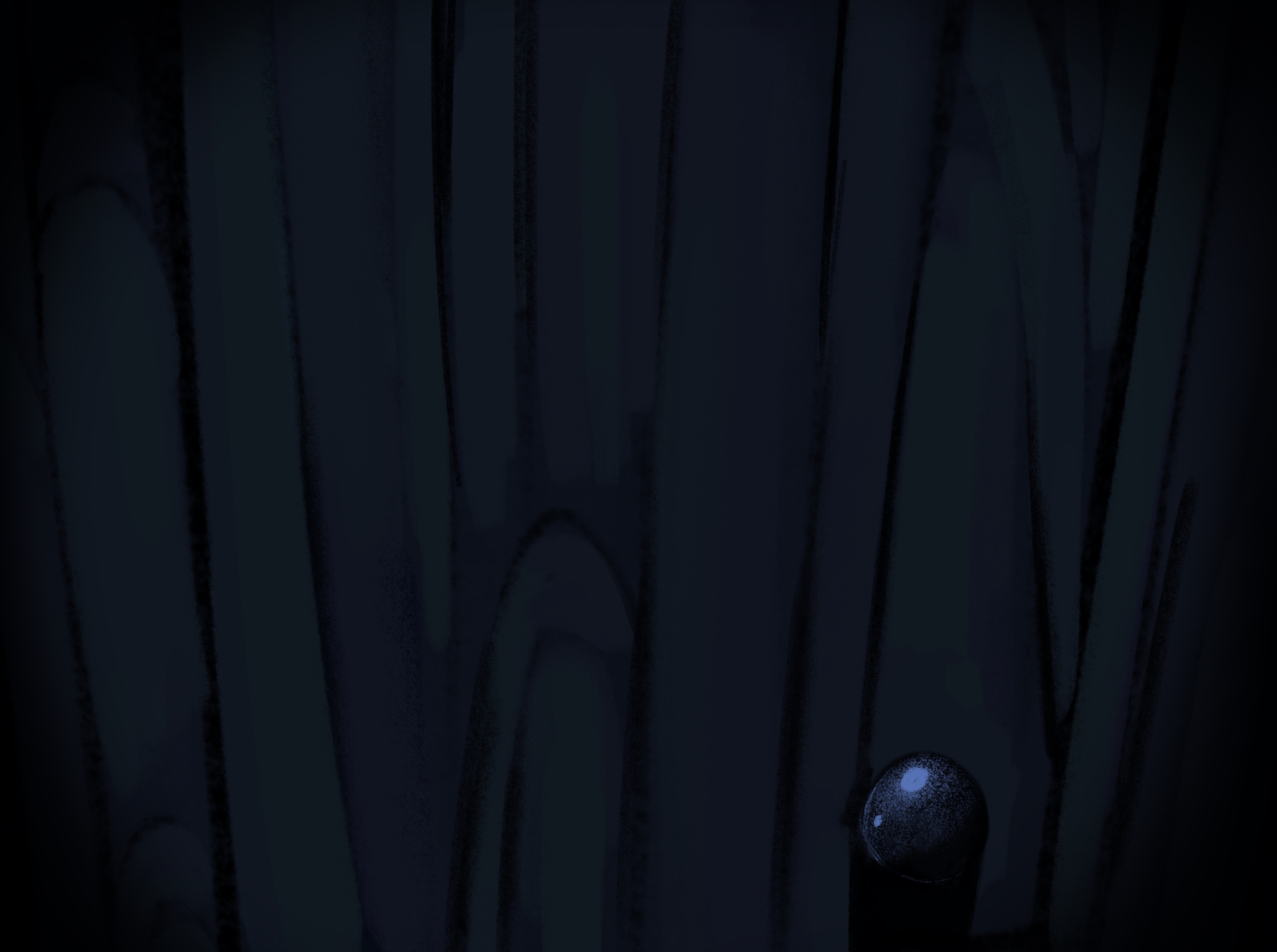 closeup on shed door
